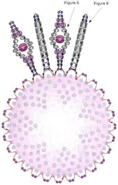 Diagram of beading pattern